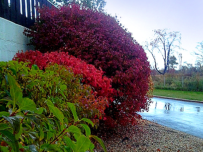 Whispering Lake