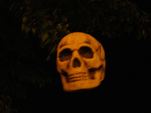 Halloween / Autumn 2010