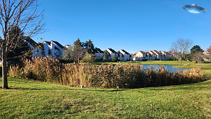 Whispering Lake