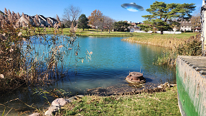 Whispering Lake