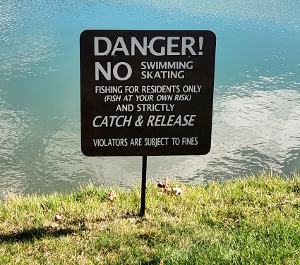 Whispering Lake
