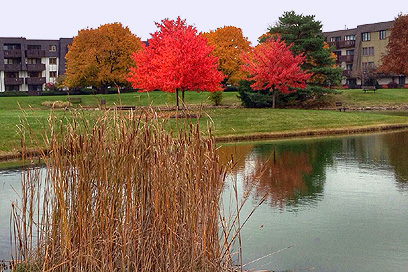 Whispering Lake