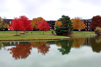 Whispering Lake