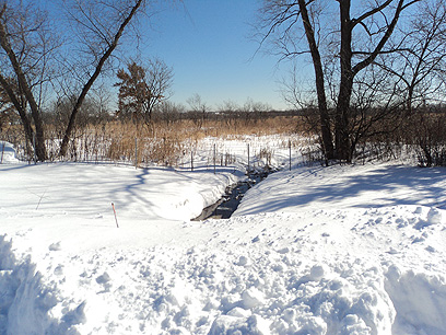 Whispering Lake