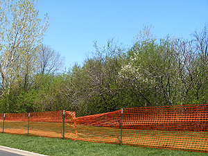 Wetland Restoration Project