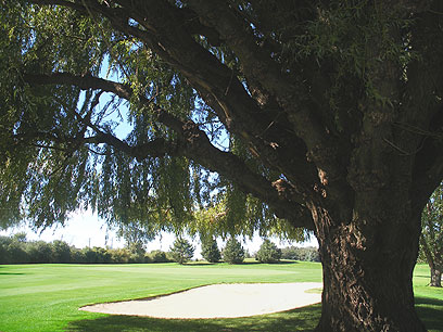 2010 Annual Summer Golf Outing