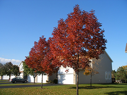 Property Photo/Whispering Lake/Lake Bluff, IL