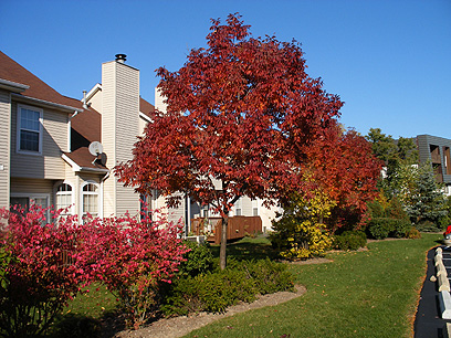 Property Photo/Whispering Lake/Lake Bluff, IL