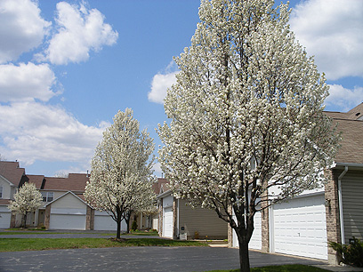 Property Photo/Whispering Lake/Lake Bluff, IL