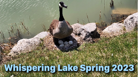 Whispering Lake - Lake Bluff, IL 60044