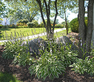 Whispering Lake 2008